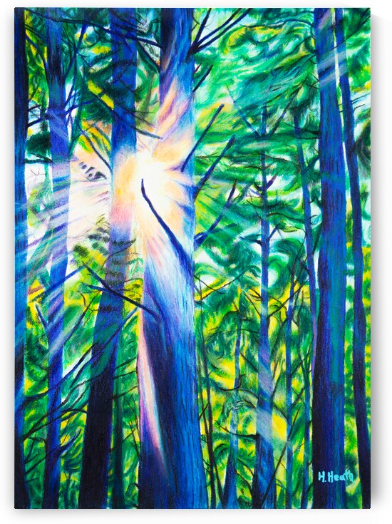 Sun Rays - Color Pencil Drawing by Holly Heath