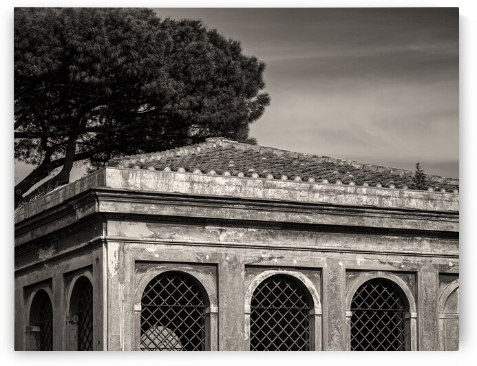 Farnese Aviary by Dave Bowman