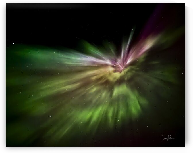 Nightwing by Lisa Drew