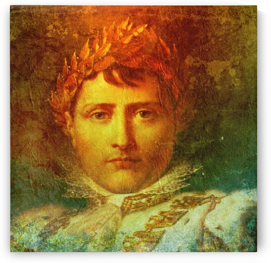 NANCY CALVERT PHOTOGRAPHY: Napoleon Color 1 by Nancy Calvert