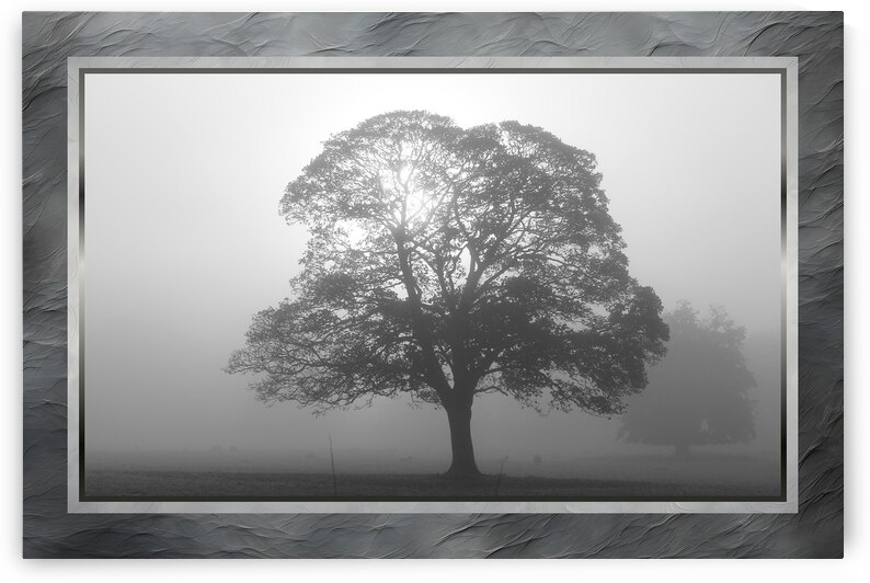 007 015 by Jack Deco