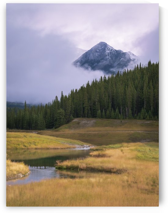 Natures Abstract by Pinaki B