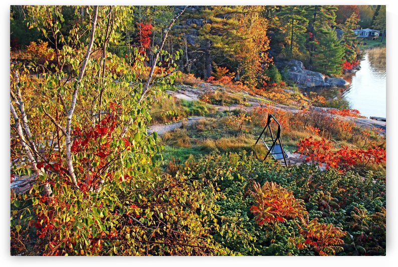 Swing Into Fall by Deb Oppermann