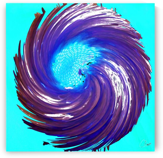 Abstract Swirling Turquoise Daisy Flower by Catriona Roberts Nature Photography and Designs