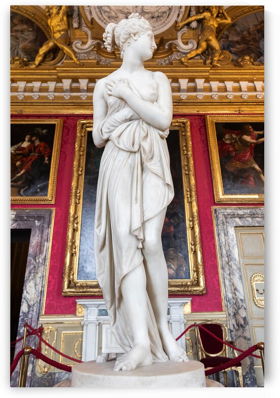 Venus statue by scultor Antonio Canova. White marble classic fe by Paolo Modena