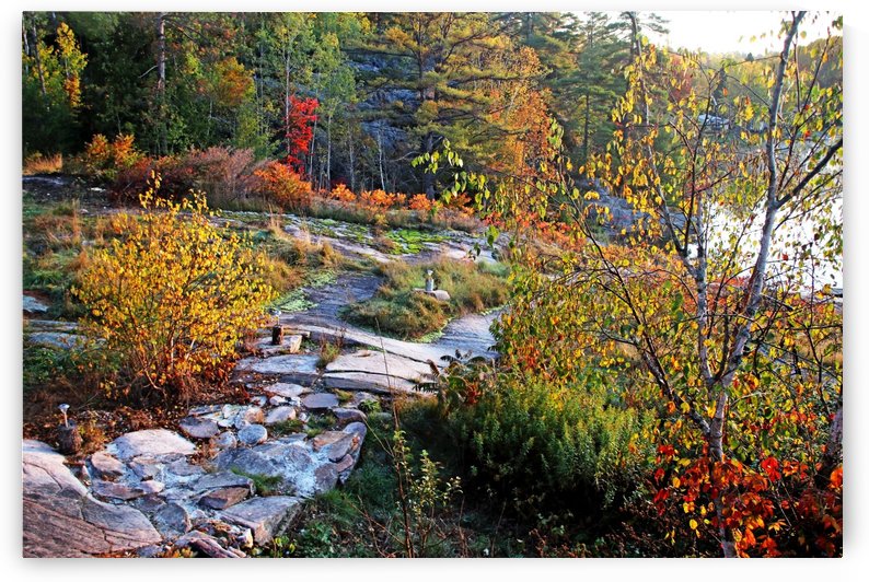 Rocky Path Through Autumn by Deb Oppermann
