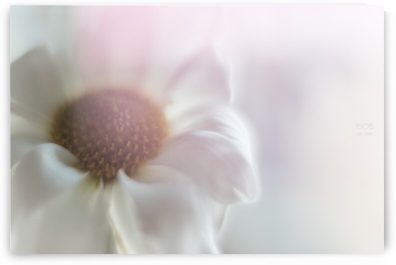 085A4758 by Daniel Thibault artiste-photographe