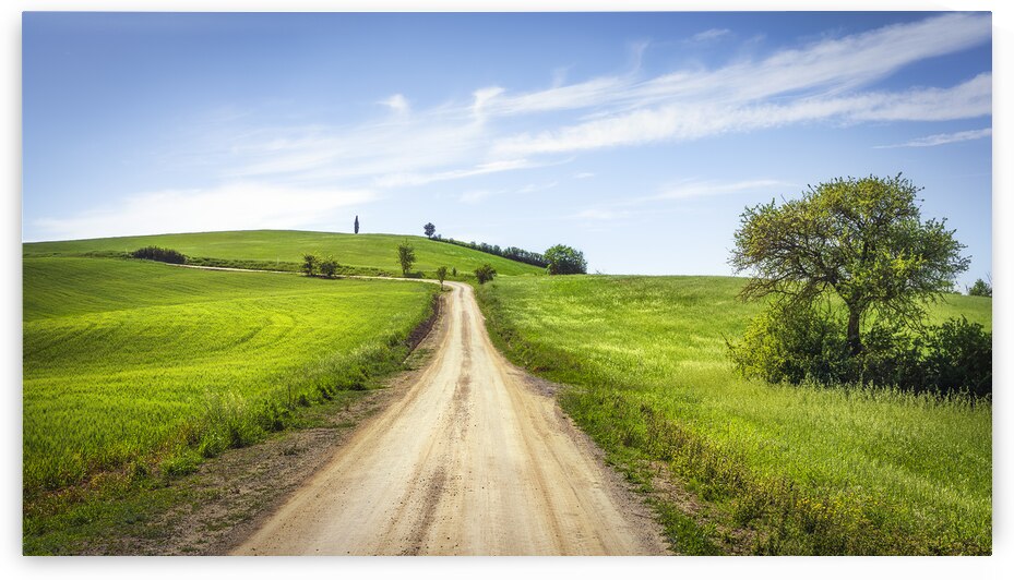 Via Francigena trail Tuscany countryside Italy by Stefano Orazzini