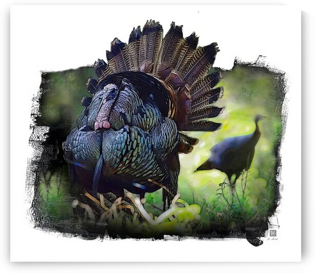 Turkey and Hen  by Kenneth Laird Studios