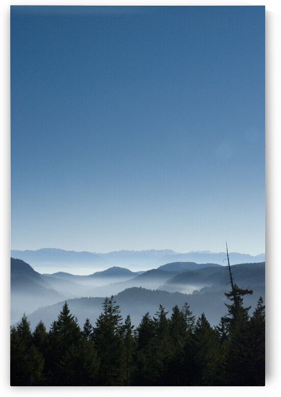 Malahat View by Kevin MacTavish