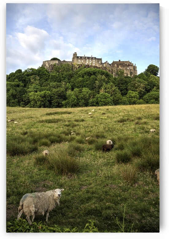 Stirling Castle by Kevin MacTavish