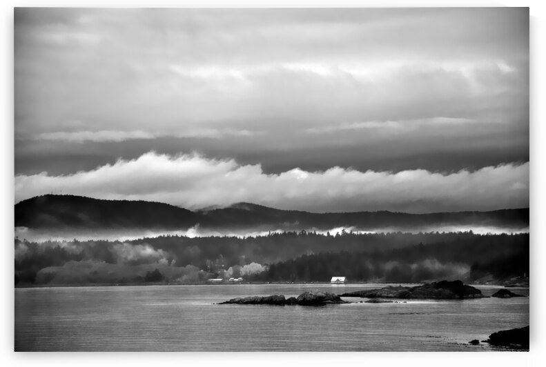 Esquimalt Lagoon by Kevin MacTavish