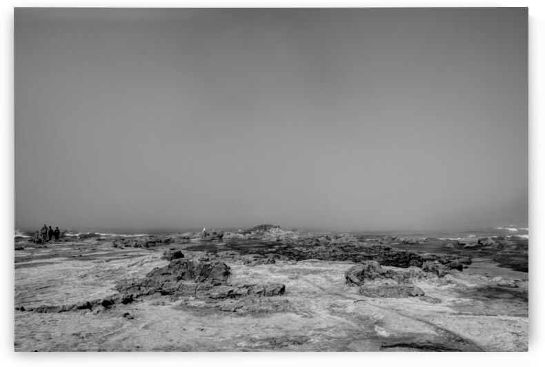 Botanical Beach 01 by Kevin MacTavish