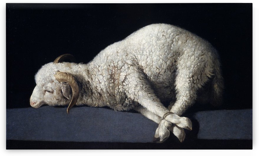 Agnus Dei by Francisco de Zurbaran
