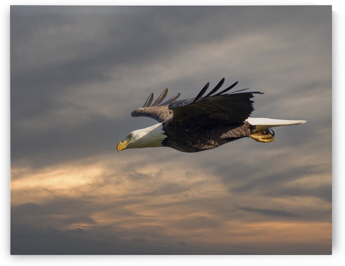 Side by side by EarthsMoments by Marc Harris photographer