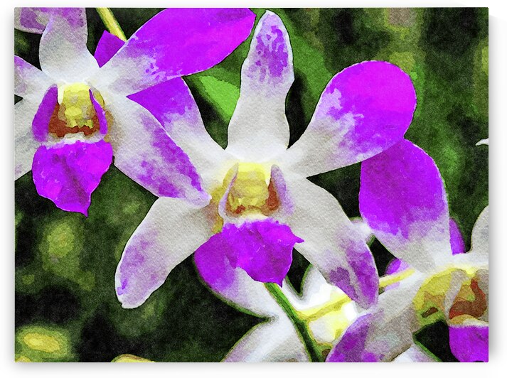 Vibrant watercolor painting of violet orchid blossoms by Gestalt Imagery