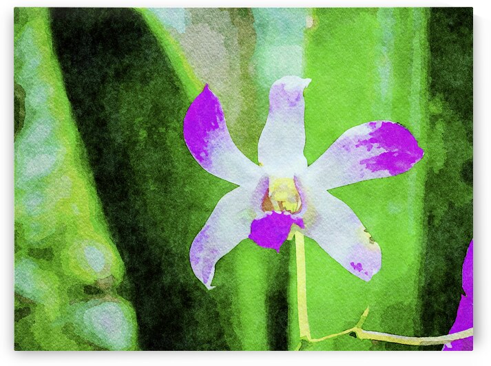 Vibrant watercolor of a purple orchid against a lush green backdrop by Gestalt Imagery