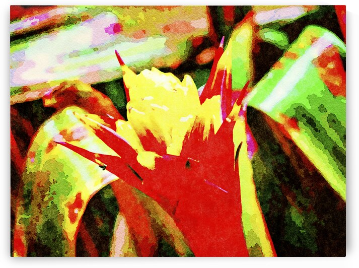 Vibrant watercolor painting of a tropical bromeliad flower in vivid colors by Gestalt Imagery