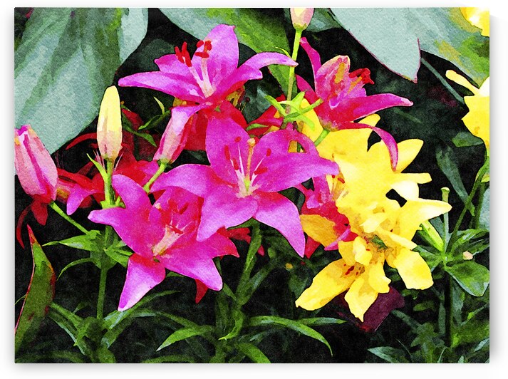 Vibrant watercolor lilies in full bloom in garden setting by Gestalt Imagery