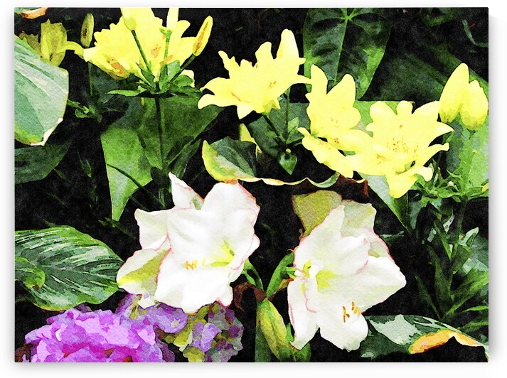 Watercolor painting of lilies and hydrangeas in vibrant garden by Gestalt Imagery