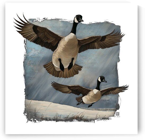 Canada geese by Kenneth Laird Studios