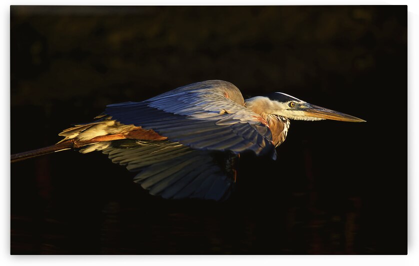 Twilight 1 by EarthsMoments by Marc Harris photographer