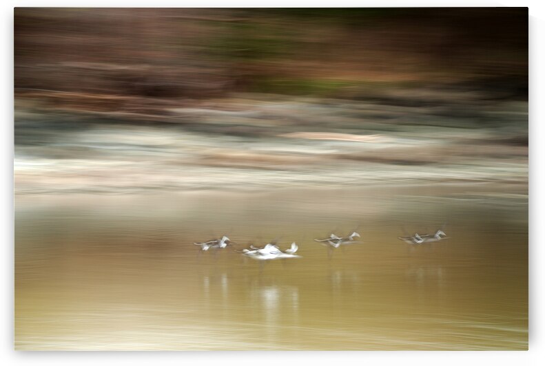 Abstract 001 by Kevin MacTavish