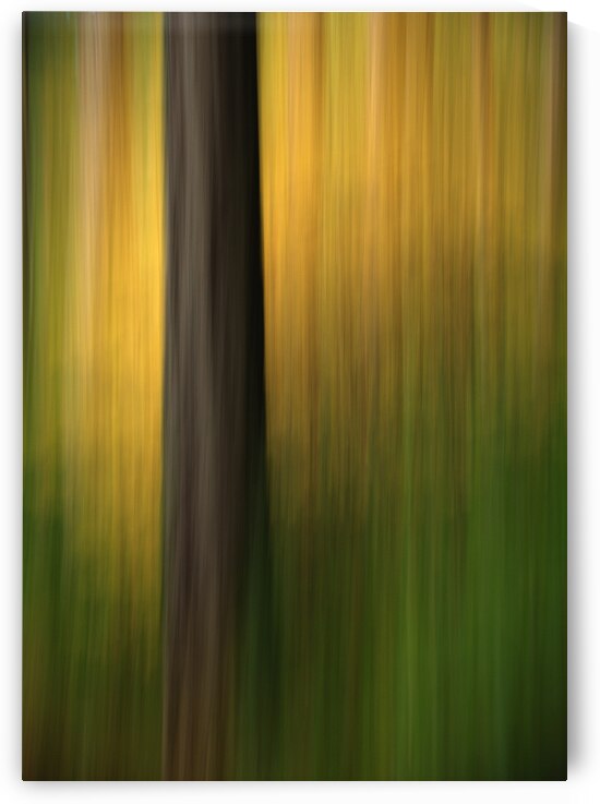 Abstract 003 by Kevin MacTavish