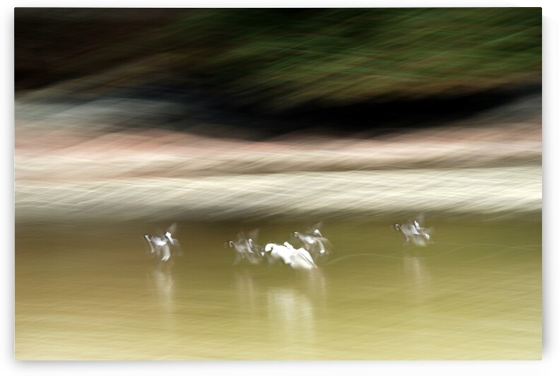 Abstract 002 by Kevin MacTavish