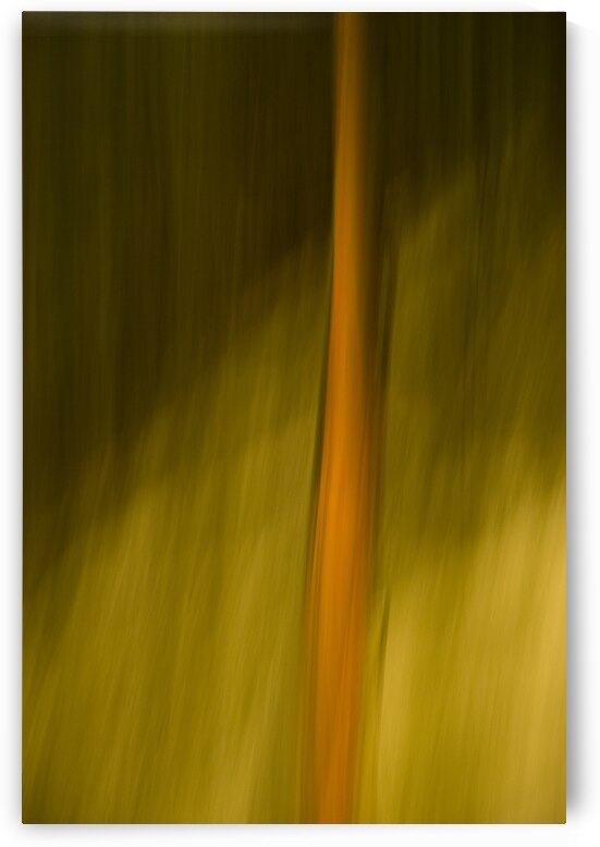 Abstract 004 by Kevin MacTavish