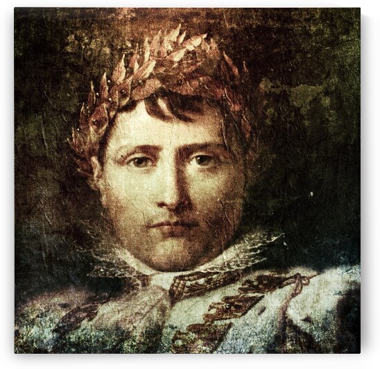 NANCY CALVERT PHOTOGRAPHY: Napolean 1 by Nancy Calvert