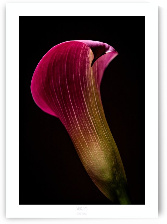 044A3633 by Daniel Thibault artiste-photographe