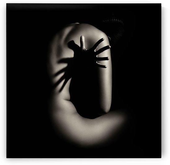 Nude woman fine art 5 by Johan Swanepoel