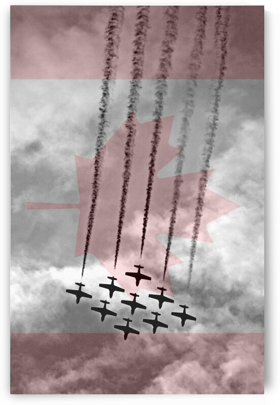 Snow Birds flag by Kevin MacTavish