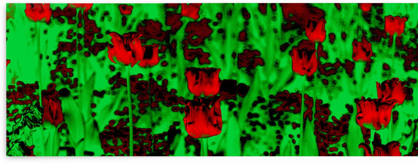 Abstract 012 by Kevin MacTavish