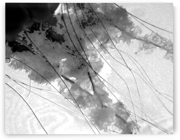 Abstract 011 by Kevin MacTavish