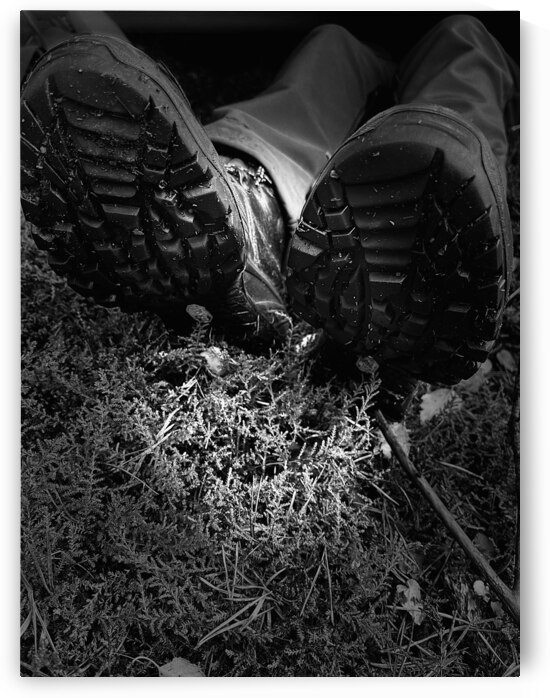 Scenes from the Trail- Resting  by Catriona Roberts Nature Photography and Designs