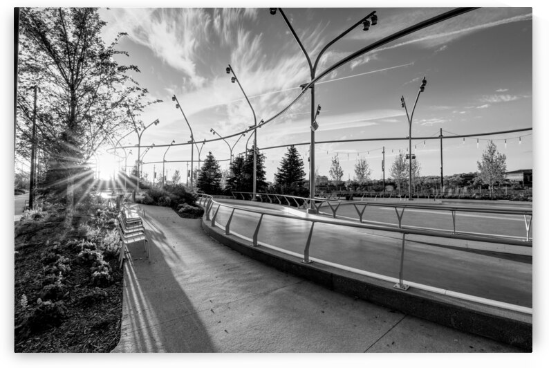 Omaha Skate Park Golden Sun Star Grayscale by Jennifer White