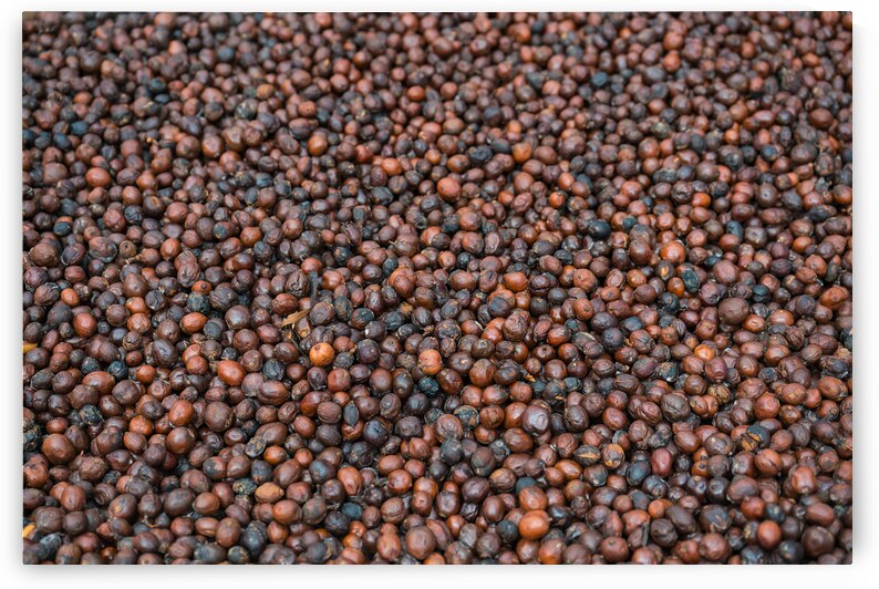  A Sea of Raw Coffee by Bo Insogna