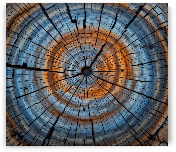 Textured Wood Grain - Artistic Tree Ring Close-Up by el halaoui ali