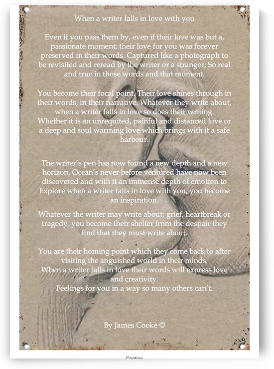 When a writer falls in love with you  3.1 by James Cooke