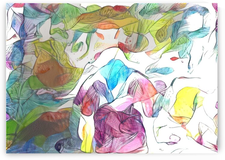 rainbow path entry by Luciano