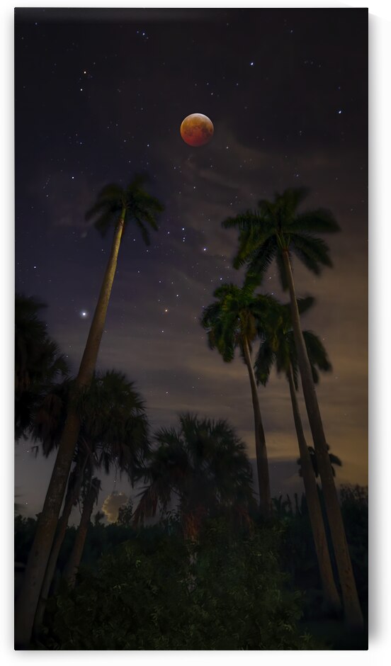 Phantom Moon by Visual Voyages Fine Art