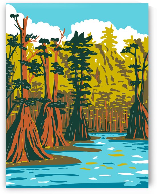 Bald cypress  by Point Art