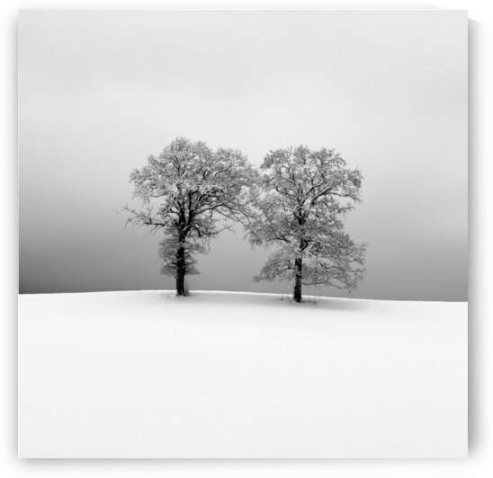 3009391 by 1x