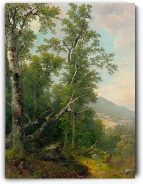 Study of Trees [1850] by Asher Brown Durand [1796–1886] by MyCozyFineArt