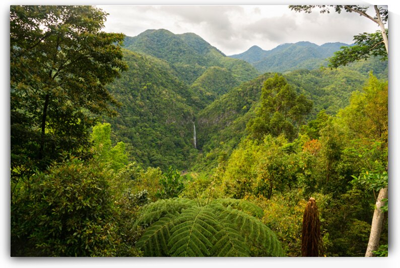 Whispers of the Malantan og Waterfall Hidden in Time by Bo Insogna