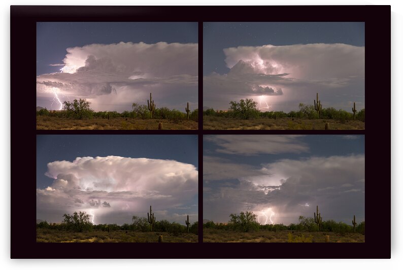 Storming Sonoran Desert by Bo Insogna