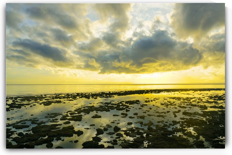Where the Sky Meets the Tides by Bo Insogna