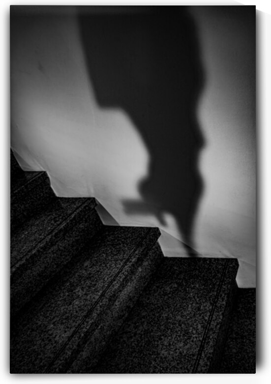 IMG 9624 Enhanced NR by Robert Barcia